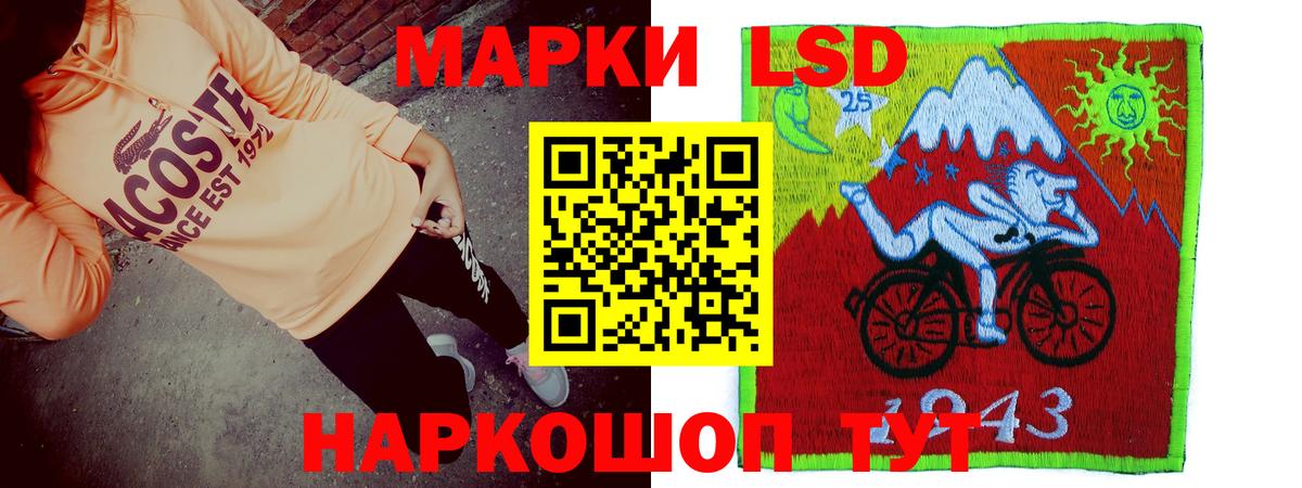 Сокол  Лсд 25 экстази кислота  Лсд 25 экстази  LSD-25 экстази кислота  Вход с VPN 