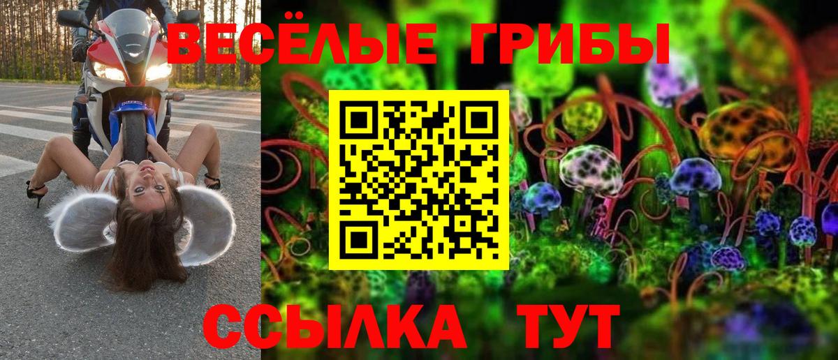 Сокол  Псилоцибиновые грибы прущие грибы  Вход с VPN 