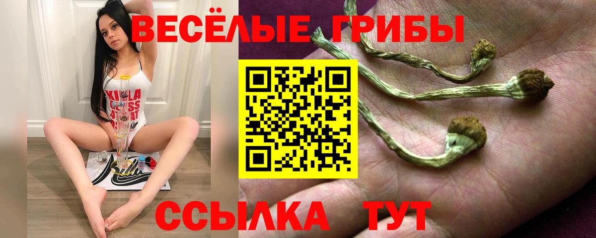 Псилоцибиновые грибы ЛСД Сокол